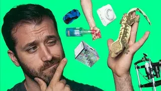 Thumbnail: Top Crested Gecko Breeder Accessories 2022