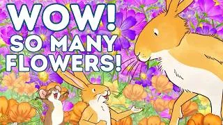 Thumbnail: So Many Flowers! | Guess How Much I Love You Story Compilation 🌸🐰