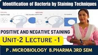 Thumbnail: Identification of Bacteria Using Staining Techniques | Types of Staining | Simple Staining | B pharm