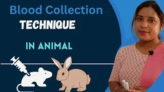 Thumbnail: Blood Collection Technique in Animals | Method for Blood Collection | Animal Blood #guidepharmaline