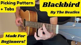 Thumbnail: Blackbird Guitar Tutorial | Beginner Fingerpicking Lesson