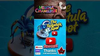 Thumbnail: Mecca Chameleon! Guitar Break!