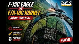 Thumbnail: F-15C Eagle vs F/A-18 Hornet – Pure Dogfight Chaos