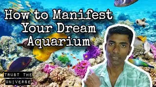 Thumbnail: How to Manifest Your Dream Marine Aquarium