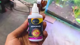 Thumbnail: Fish Deworming Medicine | Teraa Dewormer