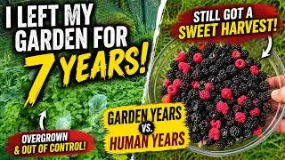 Thumbnail: I Left My Garden for 7 Garden Years... Here's What Happened!