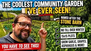 Thumbnail: Thriving Garden in an Unexpected Location | Frederick Maryland