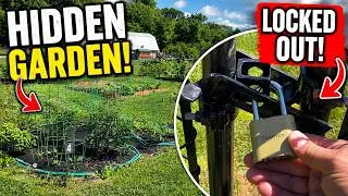 Thumbnail: I Found a Hidden Community Garden... But I Couldn't Get In?!