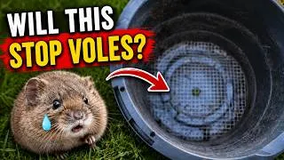 Thumbnail: Say Goodbye to Vole Damage with This Container Gardening Hack