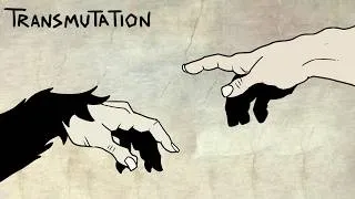 Thumbnail: TRANSMUTATION | How we Discovered Evolution