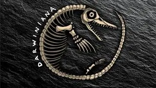 Thumbnail: DARWINIANA | How Science and Religion Killed Creationism