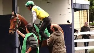Thumbnail: Riders Up!