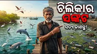 Thumbnail: ବିନାଶ ପଥରେ ଚିଲିକା ହ୍ରଦ | Asia’s Largest Lagoon | Odia Documentary