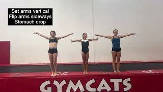 Thumbnail: Back full twisting drills.  Follow these basics and perfect them to get safe and great twisting!