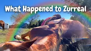 Thumbnail: Sharing the whole story 💔
