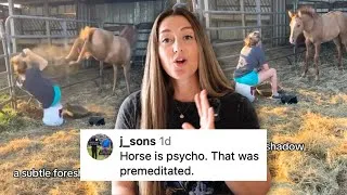 Thumbnail: Viral Horse Kick Video Response: This is NOT R+ Training 😳