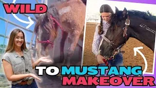 Thumbnail: WILD to Mustang Makeover | Can you do it with R+? 🥕 Meet a youth who did!
