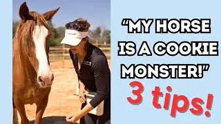 Thumbnail: Is your horse a "cookie monster"?
