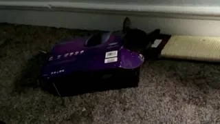 Thumbnail: Kitten loves the router box.