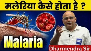 Thumbnail: Malaria #dharmendrasir #gyrussulcus #health #biology #neet #malaria #upsc #science