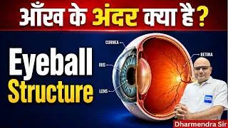 Thumbnail: Eyeball Structure #dharmendrasir #gyrussulcus #science #biology #eyes #health