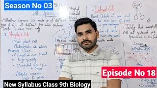 Thumbnail: Cell Specialization Class 9th | The Alpha Academy Yazman
