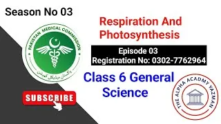 Thumbnail: Photosynthesis And Respiration Class 6 Science| Season 03 | Episode 03 | Live Session 2024-25