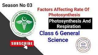 Thumbnail: Factors Affecting Photosynthesis Class 6 Science | Season 03 | Episode 02 | Live Sessions 2024-25