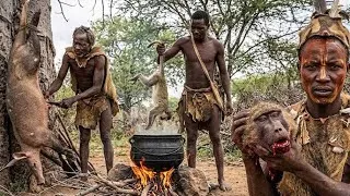 Thumbnail:     10 Foods What the Hadzabe Eats
