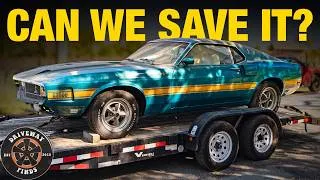 Thumbnail: This 1969 Shelby GT 500 has been sitting for 30 years. Can we get it driving again? | Driveway Finds