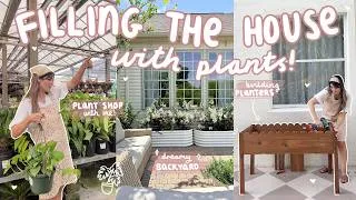 Thumbnail: finally FILLING MY HOME WITH PLANTS! 🪴 THRIFT, plant shop & garden with me! 