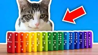 Thumbnail: Cats Vs. Dominoes!