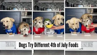Thumbnail: Dogs Try Different 4th of July Foods 