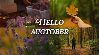 Thumbnail: Welcome to Augtober | Slow Days at the Cottage, Lavender Harvest & Forest Walks | Silent Vlog