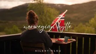Thumbnail: Cozying up in a Norwegian Cabin | Waffles, Fireplace, Reading | Silent Vlog