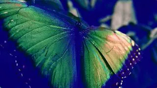 Thumbnail: Palingenesia - Dark Emotional Cinematic Solo Piano