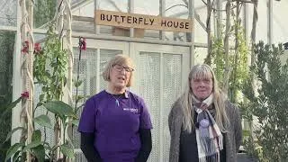 Thumbnail: 20 for 20 Initiative: Victoria Park Environment Team – Christmas Lantern Parade
