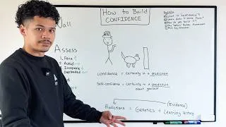 Thumbnail: How to Build CONFIDENCE in Fearful/Anxious Dogs
