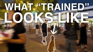 Thumbnail: What a FULLY TRAINED Dog Actually Looks Like