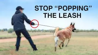 Thumbnail: Why your CORRECTIONS don’t work on your DOG
