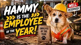 Thumbnail: Hammy's Career Is Out of Control 🤣📈