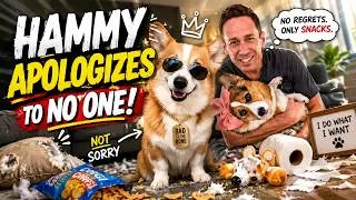 Thumbnail: Hammy Did Nothing Wrong... According to Hammy 😭🐾