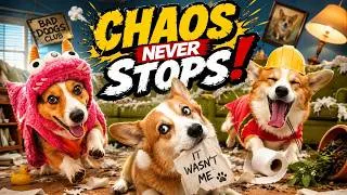 Thumbnail: Hammy & Olivia Have Lost Control 😭💥