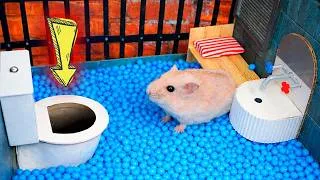 Thumbnail: Hamster Forest Maze Escape 🐹