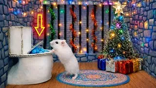 Thumbnail: Hamster Holiday Maze Escape! 🐹❄️ Snowy Obstacle Course