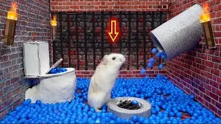 Thumbnail: Hamster: The Last Airbender 🐹 Prison Escape