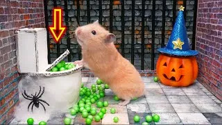 Thumbnail: 🎃Hamster Escapes Halloween Maze🎃