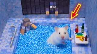 Thumbnail: Hamster Escapes 5-Star Luxury Prison Swimming Pool | Maze for Pets in real life  @hamstercardboard ​