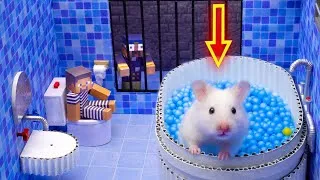 Thumbnail: Hamster Escapes Luxury Prison with Bathtub & toilet  in Ball Pool Maze Underground 🐹 Hamster Stories