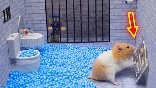 Thumbnail: Hamster Escapes from the Pet Maze in Real Life
